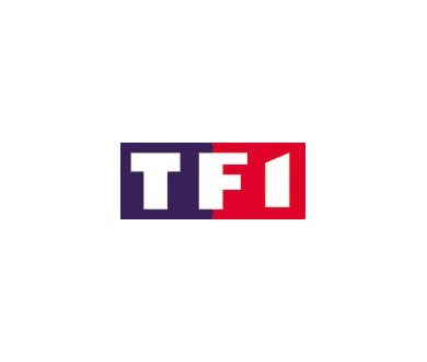 TF1 certifie la diffusion de la coupe du monde 2006 en haute définition !