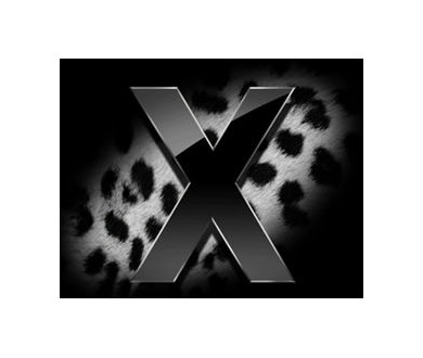 Deux millions d'exemplaires pour Mac OS X Leopard en un week-end