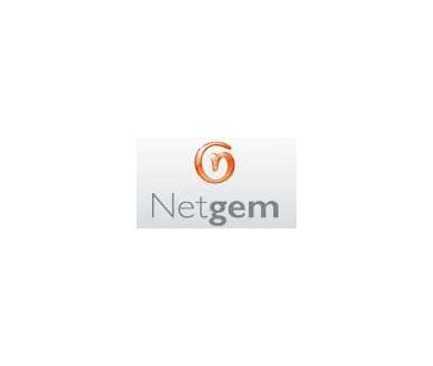 Netgem confirme une forte hausse pour l'année 2006