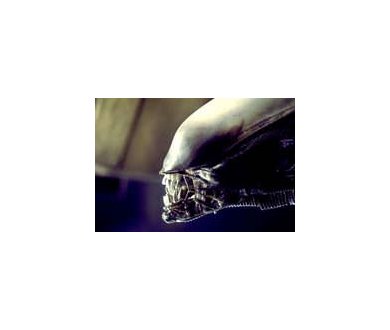 Des nouvelles d'Alien : nouveau film et Blu-Ray