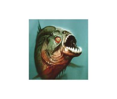 Avatar vs Piranha 3D : un virulent réglement de compte !