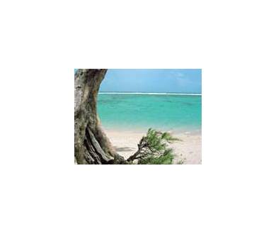 Un site vous paye pour vos films de vacances !