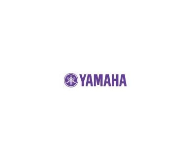 Yamaha CD-N500 : Lecteur CD audiophile / Réseau intégré
