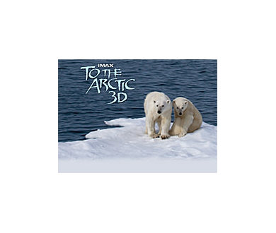 To The Artic 3D : Sortie en salles IMAX 3D en avril prochain