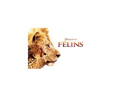 Disney Nature lancera Félins en édition Blu-ray le 5 juin