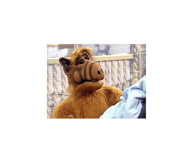 Après les Schtroumpfs, un film dédié à l'extraterrestre Alf