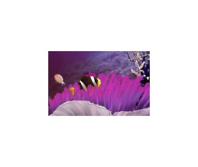 Un aquarium grandeur nature et interactif en HD sur Xbox 360 !