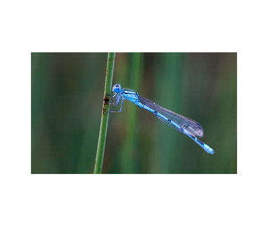 HD Photo : nouveau nom du format Windows Media Photo !