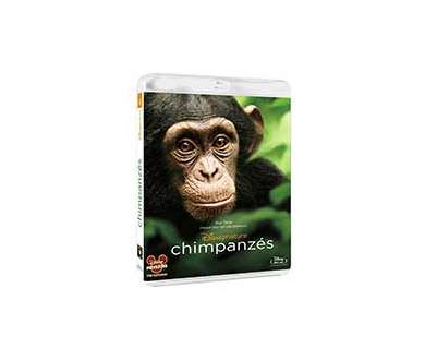 Chimpanzés (Disney Nature) en Blu-ray le 26 juin