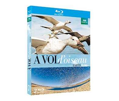 A Vol d’Oiseau : le coffret Blu-ray le 29 octobre