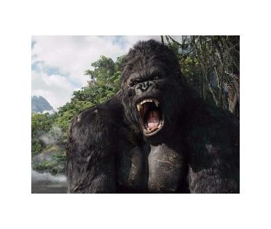 Universal et Paramount : Venez découvrir les prochaines sorties Blu-ray et 4K !