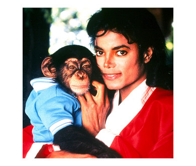 Michael Jackson : Netflix acquiert les droits d'un film en stop-motion animation