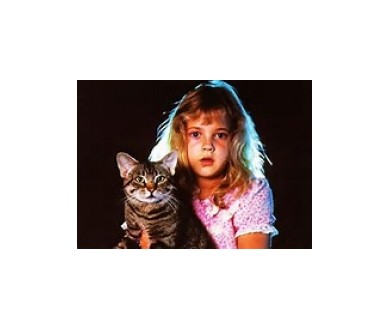 Cat's Eye (Stephen King) : Blu-ray le 20 septembre chez Warner