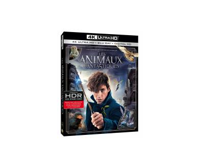 Les Animaux Fantastiques (Master 4K) en Ultra HD Blu-ray à seulement 13.99 euros