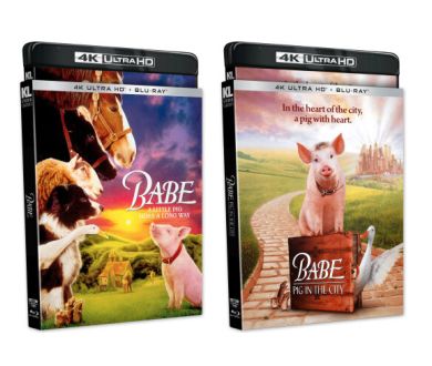 Babe (1995) et sa suite le 16 décembre aux USA en 4K Ultra HD Blu-ray