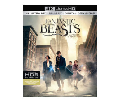 Les Animaux Fantastiques : Master 4K et Ultra HD Blu-ray confirmés