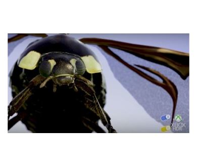 Insects : Microsoft vous propose une expérience 4K HDR interactive !