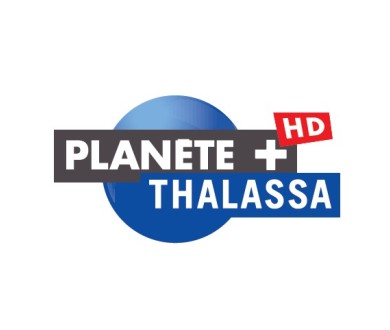 Canal+ : Arrêt de la chaîne Planète+ Thalassa le 31 décembre 2015