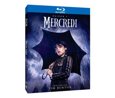 Mercredi (2022) : Après le succès sur Netflix, une sortie en Blu-ray dès le 27 mars