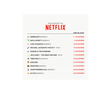 En Novembre 2017 chez Netflix France : les nouveautés !