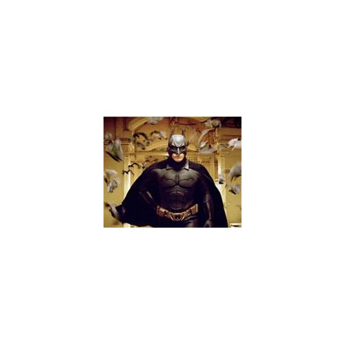 Blu-Ray Batman Begins en images !