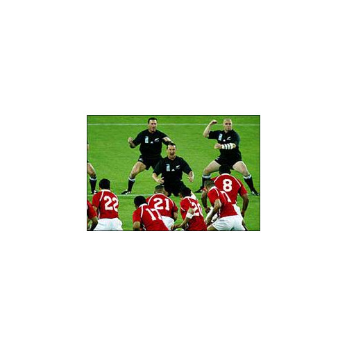 L'ensemble des matchs de rugby de TF1 en HD sur la TNT