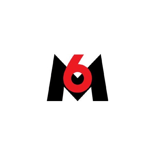 Coupe du monde 2006 : M6 retransmettra en Haute Définition (HD) 31 des 64 matchs !