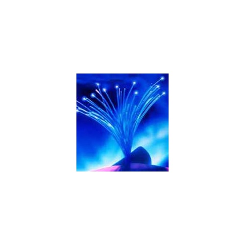 30 millions de lecteurs Blu-Ray connectés au Web en 2013 !