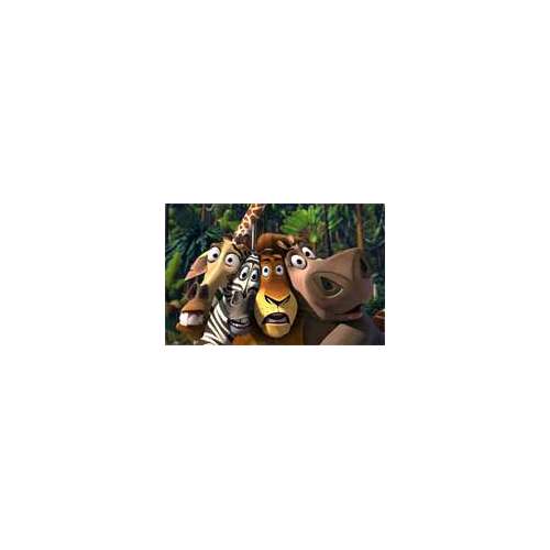 Madagascar 2 en Blu-Ray le 6 février 2009 aux USA