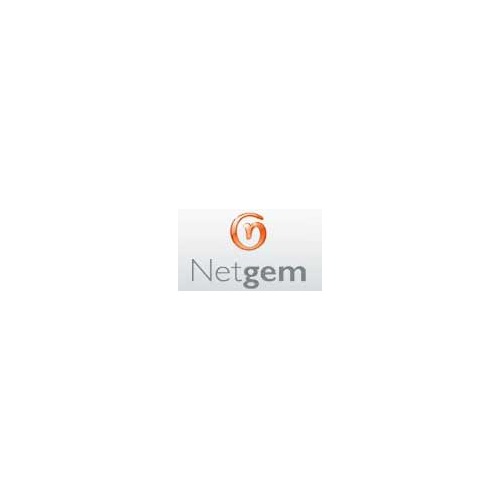 Netgem confirme une forte hausse pour l'année 2006