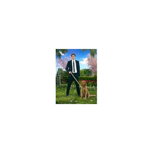 Pushing Daisies en Blu-Ray dès le 11 février
