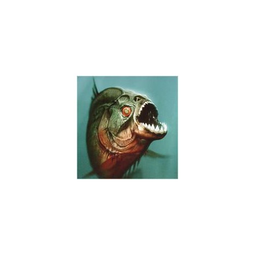 Avatar vs Piranha 3D : un virulent réglement de compte !