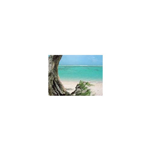 Un site vous paye pour vos films de vacances !
