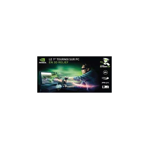 NVIDIA 3D Vision Cup : des joueurs s’affrontent en 3D relief