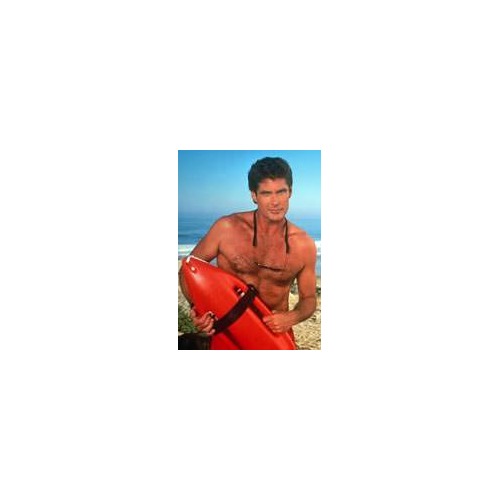 La star d’Alerte à Malibu dans Piranha 3DD
