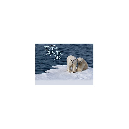 To The Artic 3D : Sortie en salles IMAX 3D en avril prochain