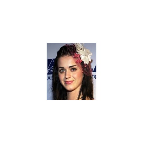 Un biopic 3D pour Katy Perry ?