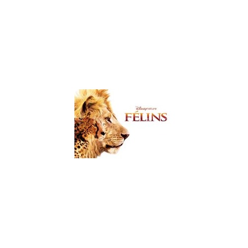 Disney Nature lancera Félins en édition Blu-ray le 5 juin