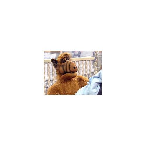 Après les Schtroumpfs, un film dédié à l'extraterrestre Alf