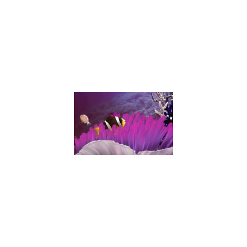 Un aquarium grandeur nature et interactif en HD sur Xbox 360 !