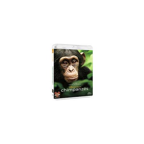 Chimpanzés : Test Blu-ray en avant-première