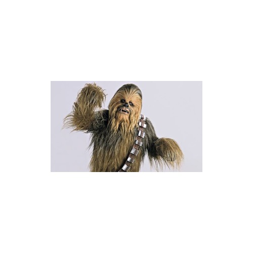 Chewbacca confirmé dans le spin-off sur Han Solo