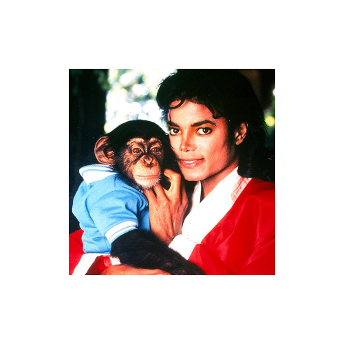 Michael Jackson : Netflix acquiert les droits d'un film en stop-motion animation