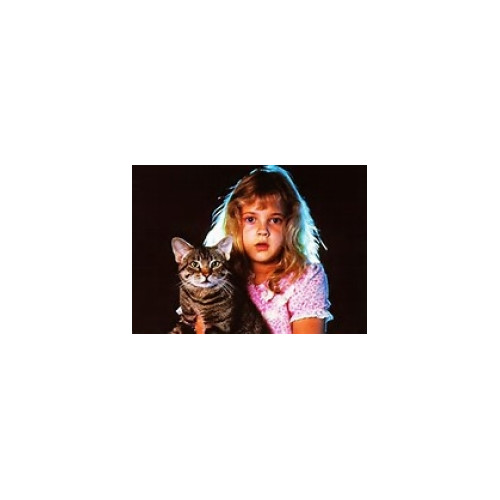 Cat's Eye (Stephen King) : Blu-ray le 20 septembre chez Warner