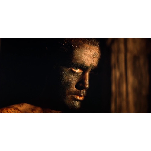 Francis Ford Coppola souhaite un jeu vidéo pour Apocalypse Now !