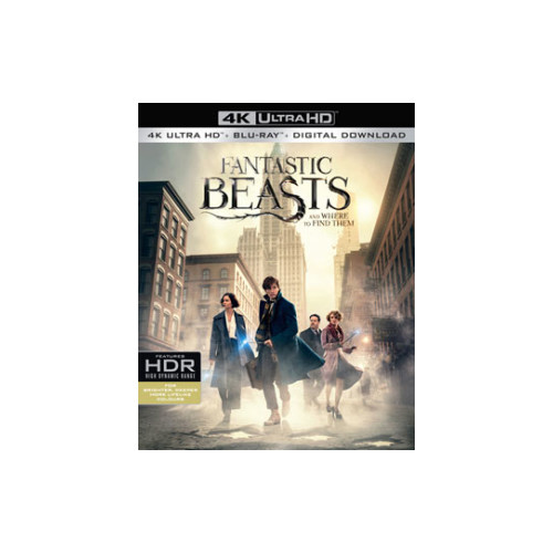 Les Animaux Fantastiques : Master 4K et Ultra HD Blu-ray confirmés
