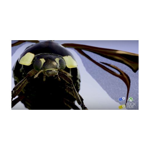 Insects : Microsoft vous propose une expérience 4K HDR interactive !