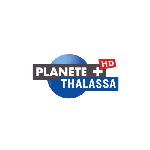 Canal+ : Arrêt de la chaîne Planète+ Thalassa le 31 décembre 2015