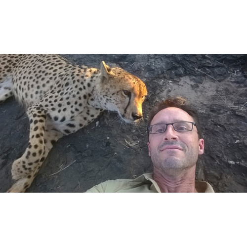 Nokia Lumia 930 : une vidéo 4K signée National Geographic