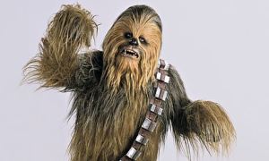 Chewbacca-the-Wookiee-Pet-009_1